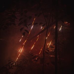 Meet your Posher, Mayuri